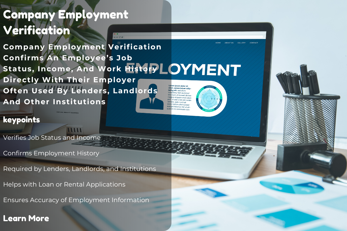 A Complete Guide to Company Employment Verification