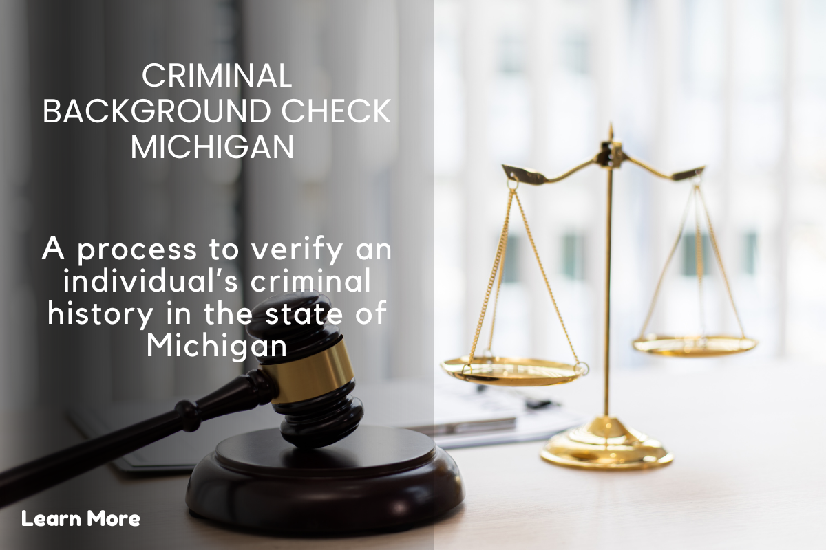 Criminal Background Check in Michigan Process