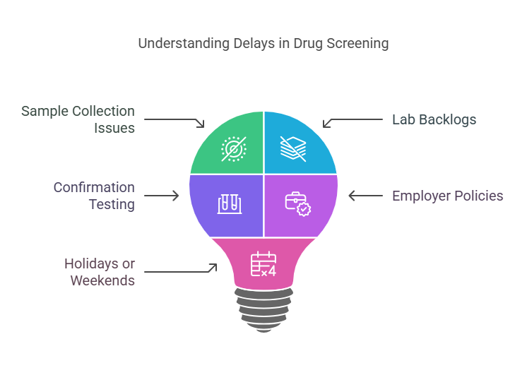 Common Reasons for Delays in Drug Screening Results