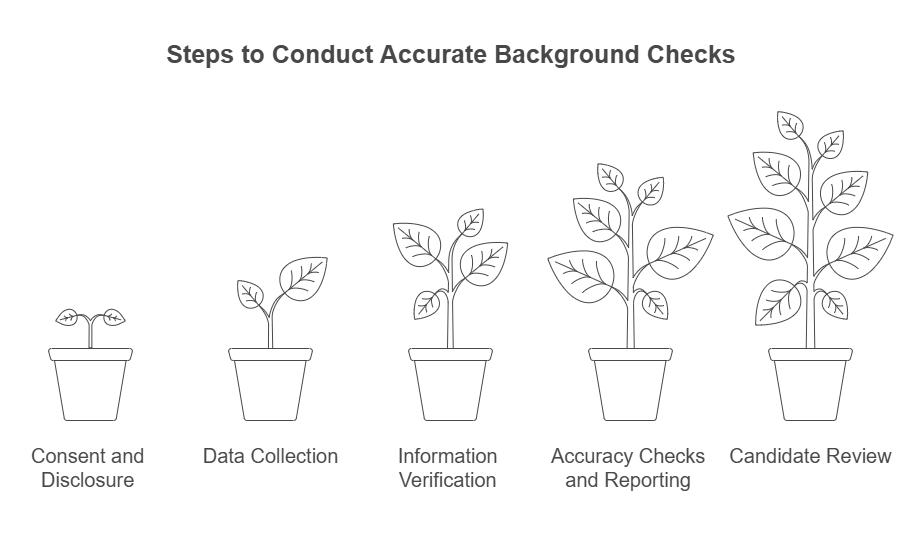 How Accurate Background Checks Are Conducted