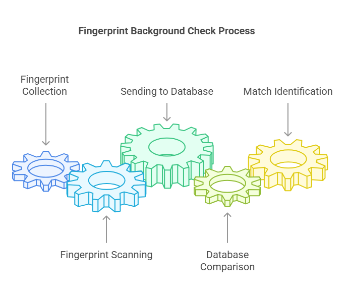 How Do Fingerprint Background Checks Work?