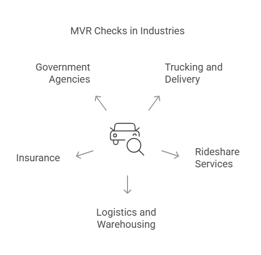 How MVR Checks Are Used in Different Industries