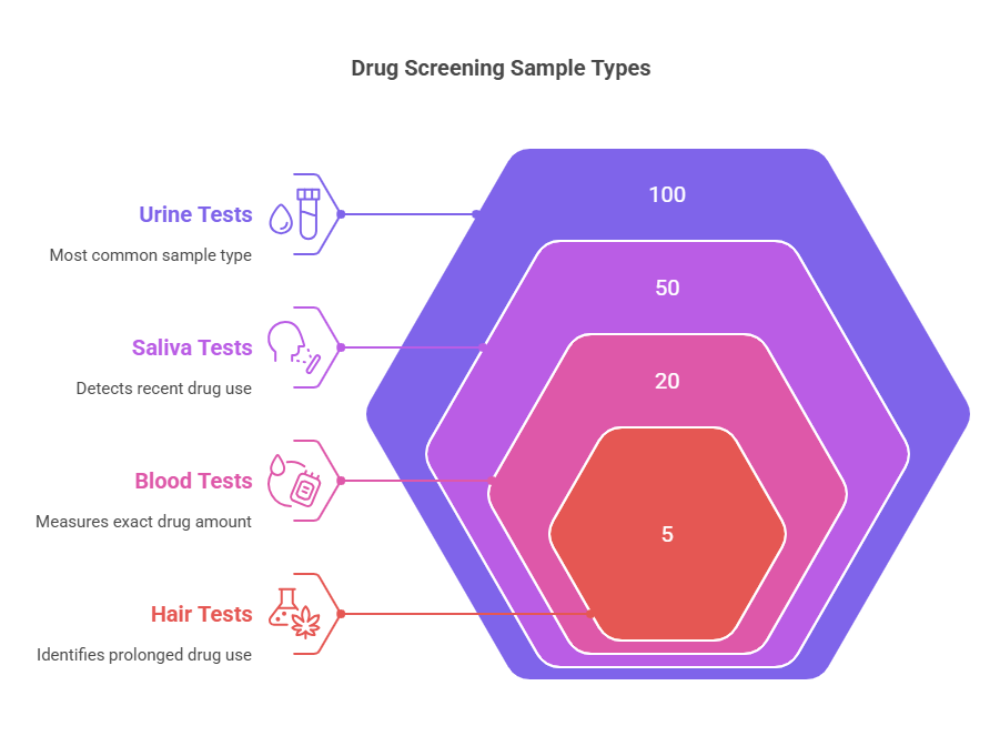 How a 4 Panel Drug Screen Works