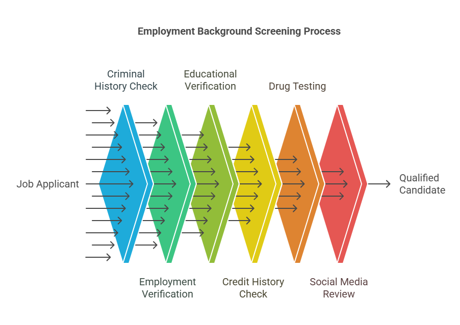 Key Areas Covered in Employment Background Screening