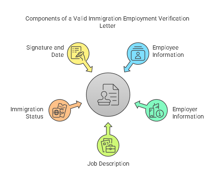 Key Components of an Immigration Employment Verification Letter