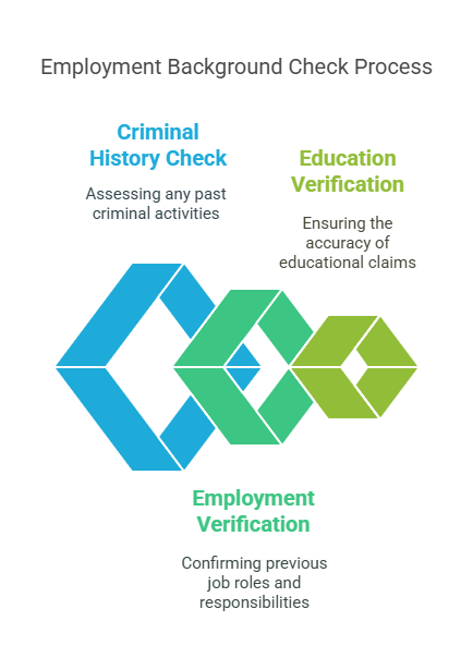 Overview of Employment Background Checks