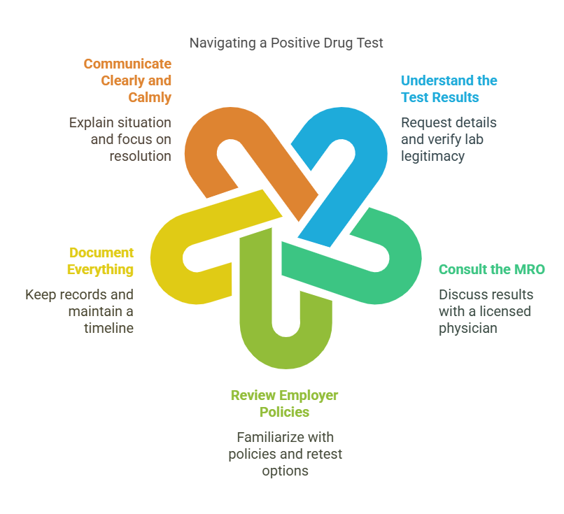 Step-by-Step Guidance for Responding to a Positive Drug Test