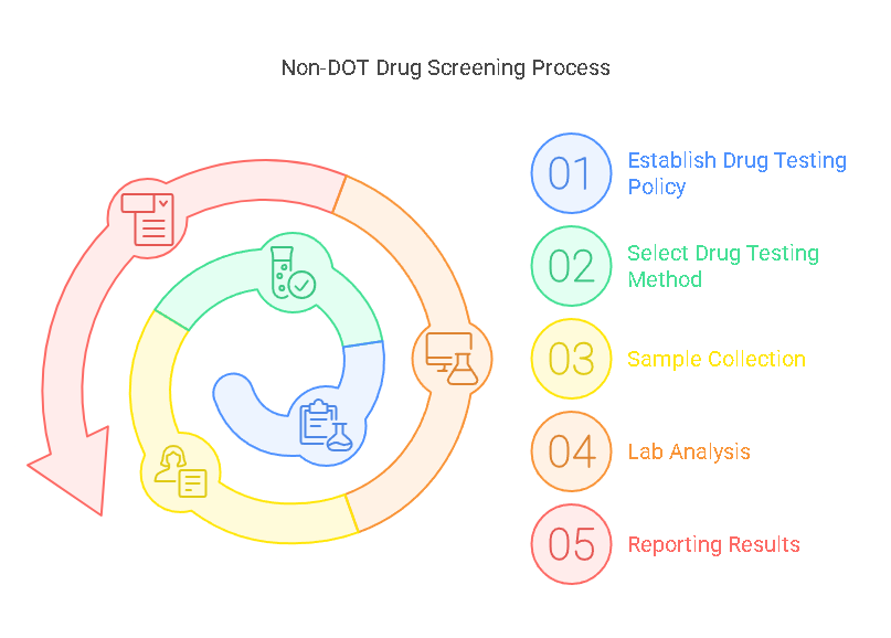 Step-by-Step Guide for Conducting Non DOT Drug Screening