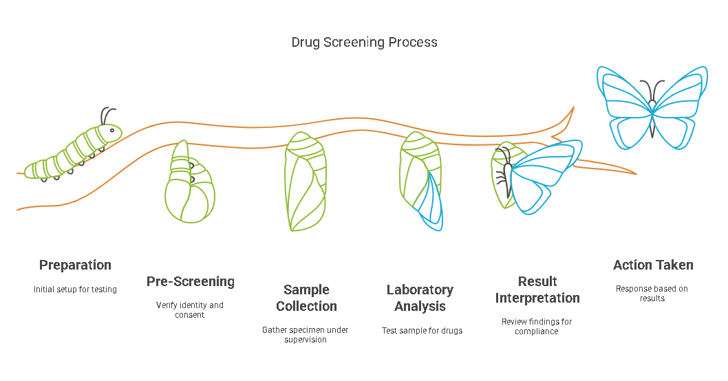 Step-by-Step Process for Conducting Probation Drug Screenings