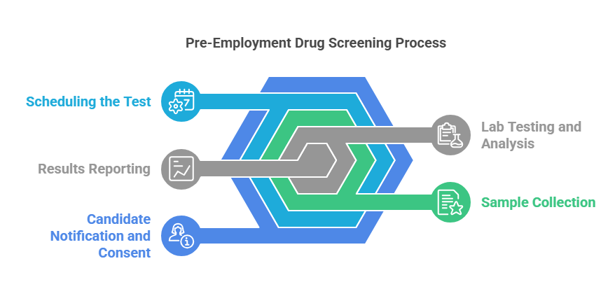 Steps in the Pre-Employment Drug Screening Process