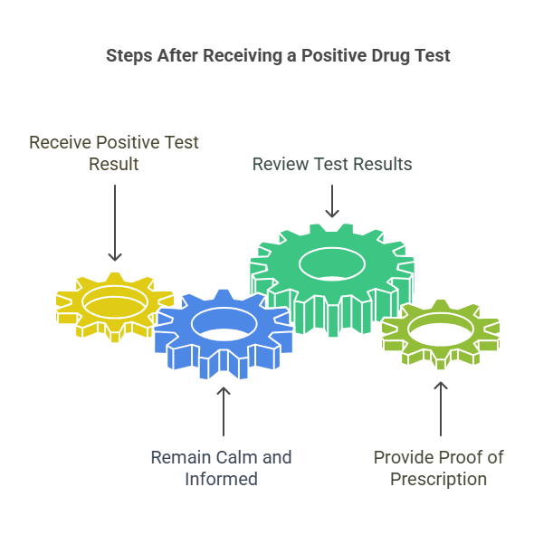 Steps to Take If You Receive a Positive Drug Test Result