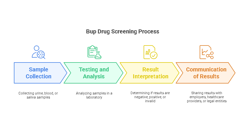 The Process, Benefits, and Potential Issues of Bup Drug Screening