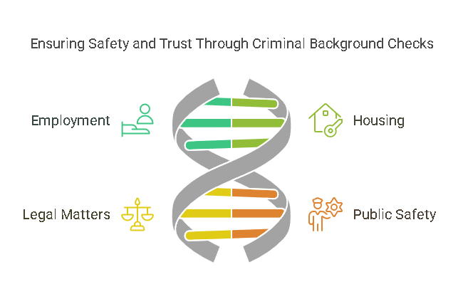 The Purpose and Importance of Criminal Background Checks