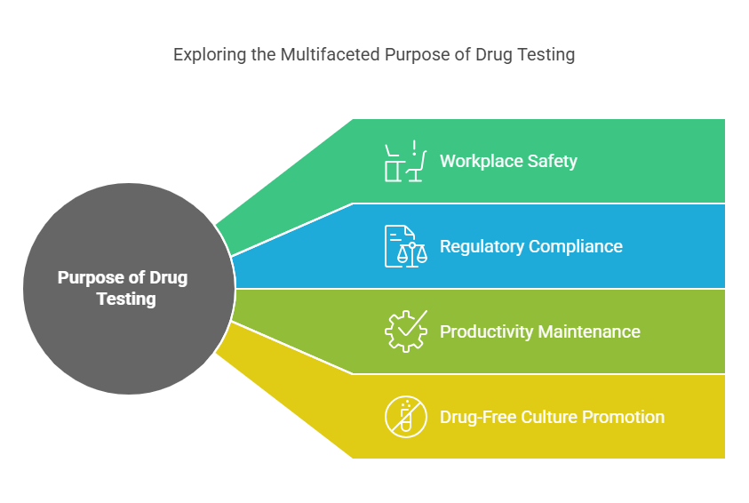 The Purpose of Drug Testing