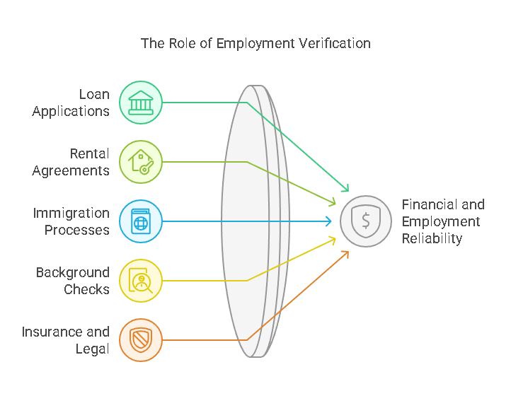 The Role of Employment Verification