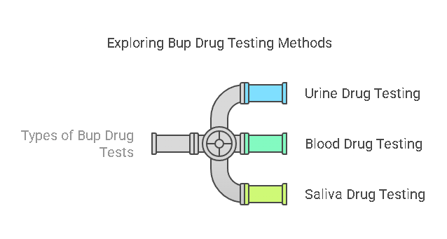 Types of Bup Drug Tests