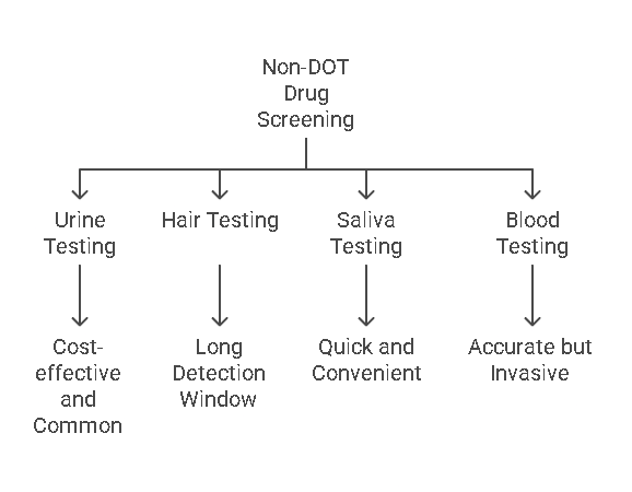 Types of Drug Tests in Non DOT Drug Screening