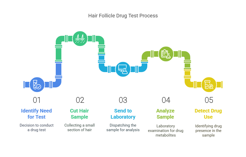 What is a Hair Follicle Drug Test?