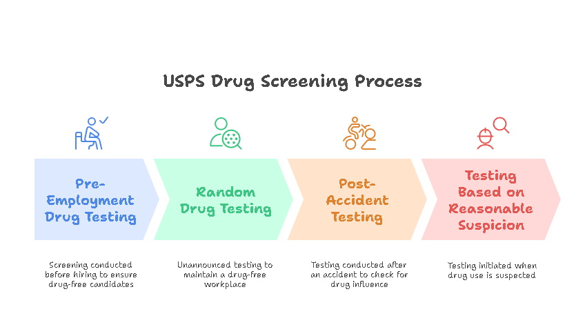 When Does USPS Drug Screening Occur