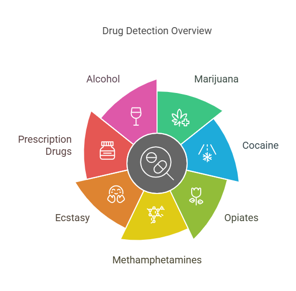 Which Drugs Do Blood and Urine Tests Detect?