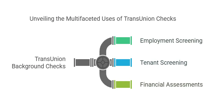 Why Are TransUnion Background Checks Important?