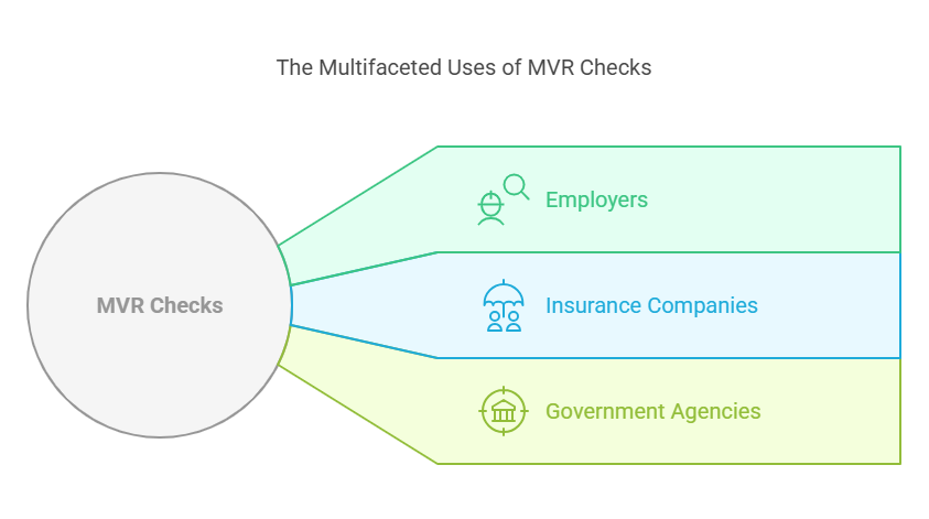 Why Do Employers, Insurance Companies, and Government Agencies Perform MVR Checks?