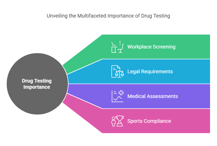 Why Drug Testing Is Important