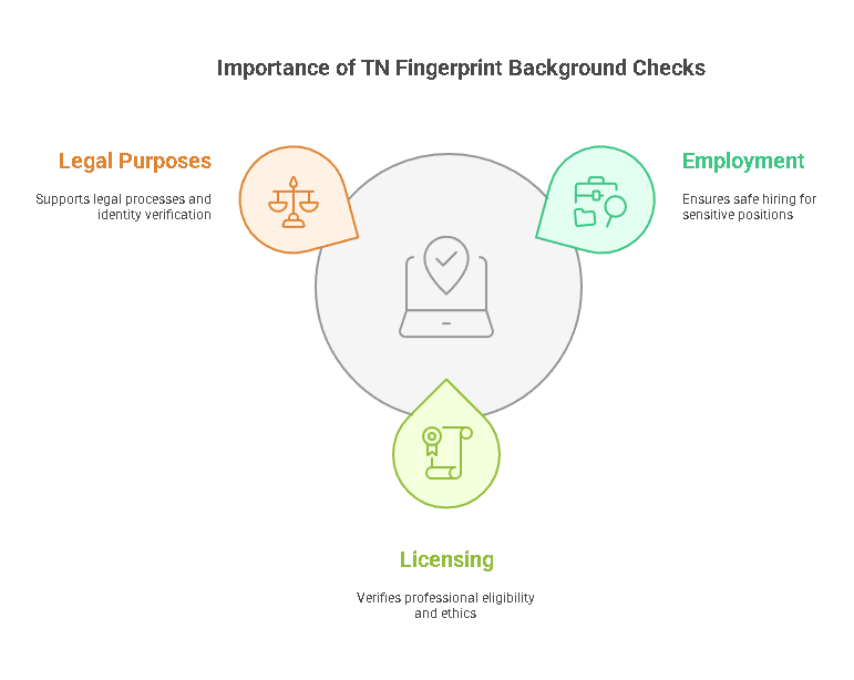 Why TN Fingerprint Background Checks Are Important