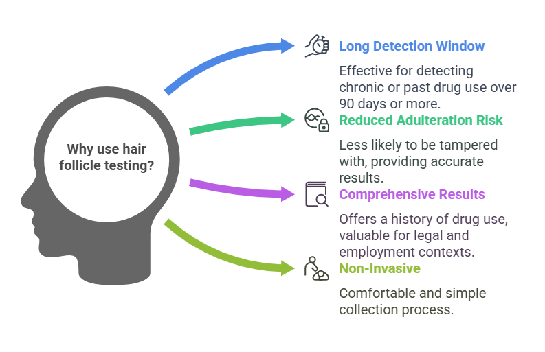 Why is Hair Follicle Testing Used?